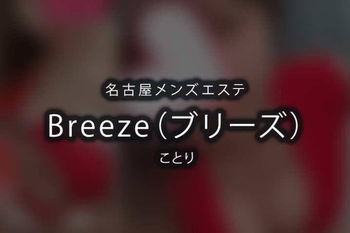 【体験】名古屋 「Breeze（ブリーズ）」ことり【閉店】